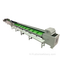 Electronic Fruits Grading Machine Sorting Machine